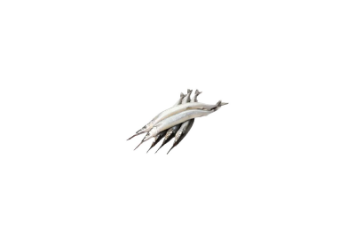 QUALITY KAKILA 500G
