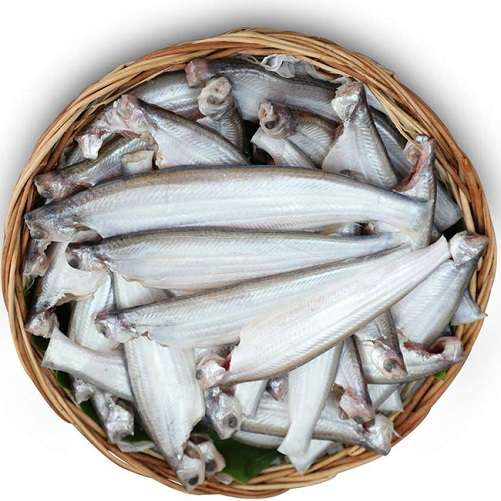 Ilco Bashpata Fish