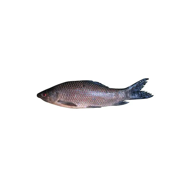 CF Kalbaus (per kg)