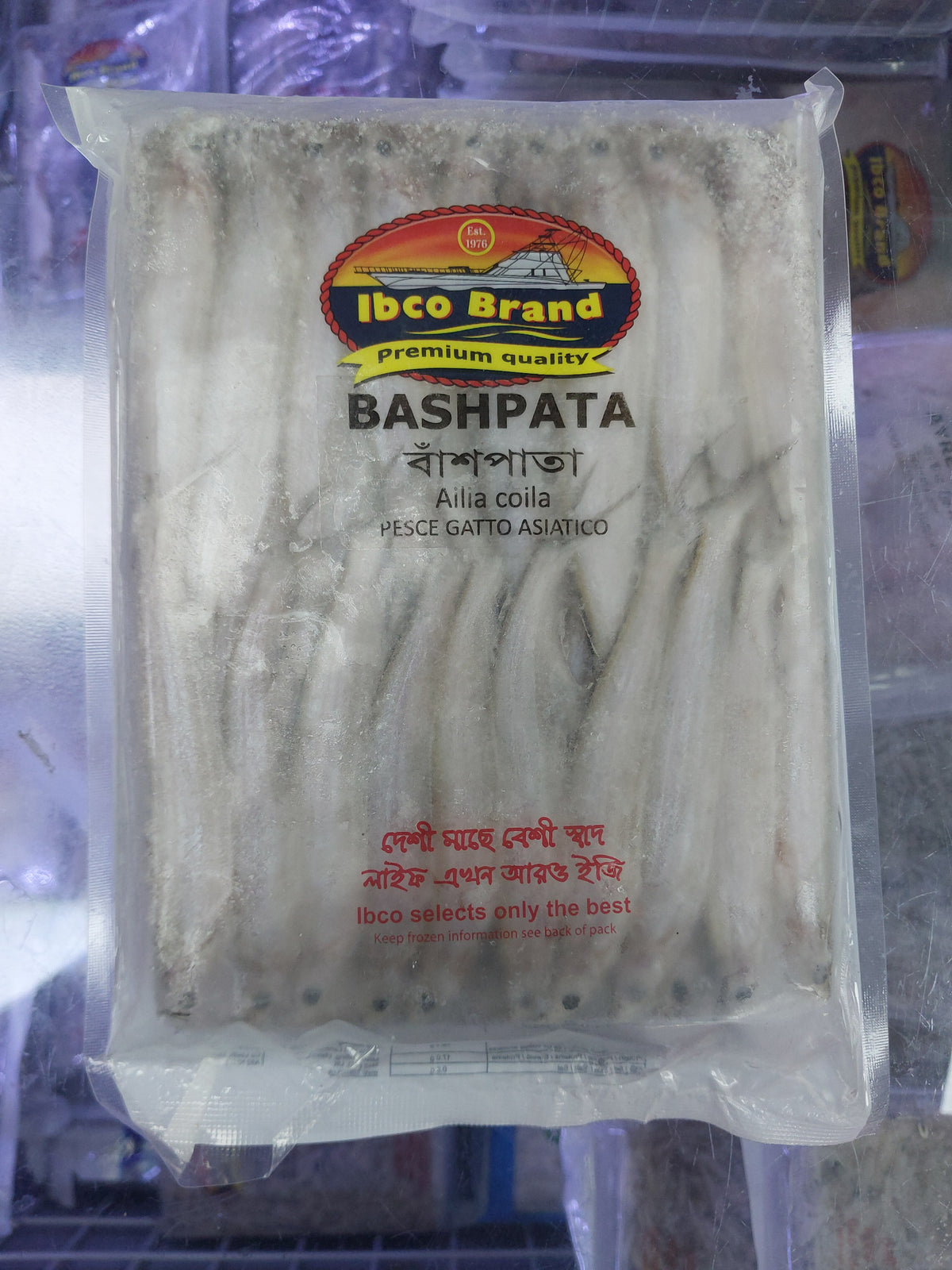 Ibco Bashpata